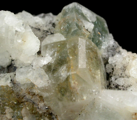 Fluorapatite and Albite from Lavra da Golconda, Near Governor Valadares, Minas Gerais, Brazil