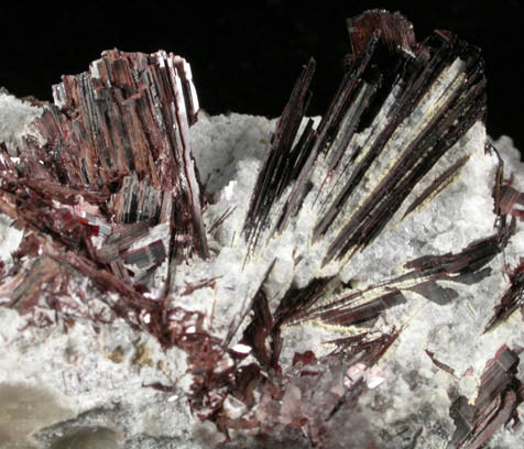 Hbnerite from Adams Mine, Silverton Mining District, San Juan County, Colorado