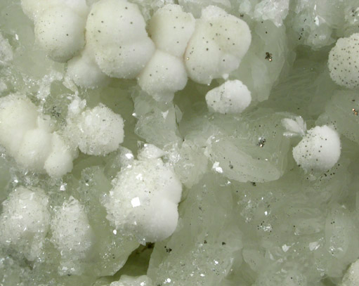 Pectolite on Datolite with Apophyllite and Pyrite from Millington Quarry, Bernards Township, Somerset County, New Jersey