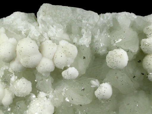 Pectolite on Datolite with Apophyllite and Pyrite from Millington Quarry, Bernards Township, Somerset County, New Jersey