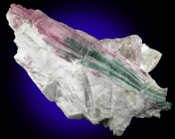 Elbaite Tourmaline in Albite from Mount Marie Quarry, 7.5 km southeast of Paris Hill, Oxford County, Maine