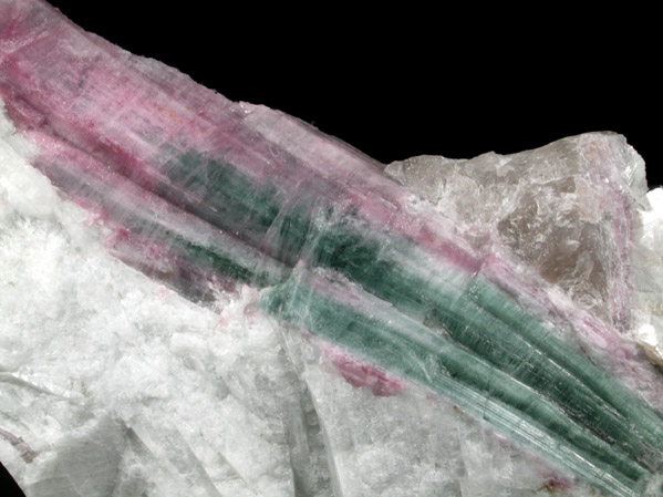 Elbaite Tourmaline in Albite from Mount Marie Quarry, 7.5 km southeast of Paris Hill, Oxford County, Maine