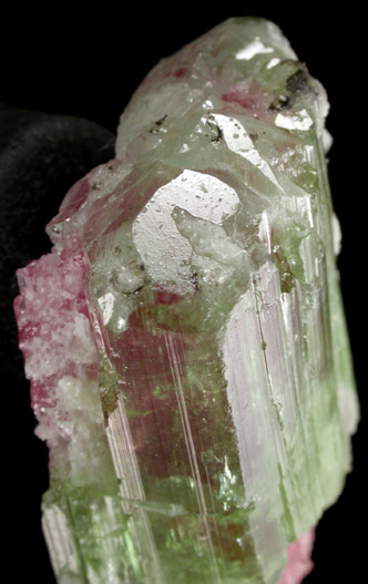 Elbaite Tourmaline from May Day Pocket, Durgin #1 Prospect, Mount Marie, 7.5 km southeast of Paris Hill, Oxford County, Maine