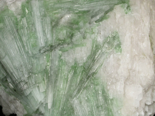 Elbaite Tourmaline in Petalite from Mount Marie Quarry, 7.5 km southeast of Paris Hill, Oxford County, Maine