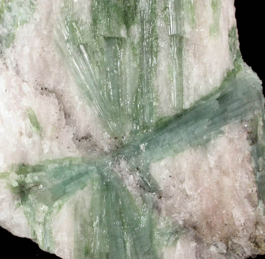Elbaite Tourmaline in Petalite (matched pair) from Mount Marie Quarry, 7.5 km southeast of Paris Hill, Oxford County, Maine