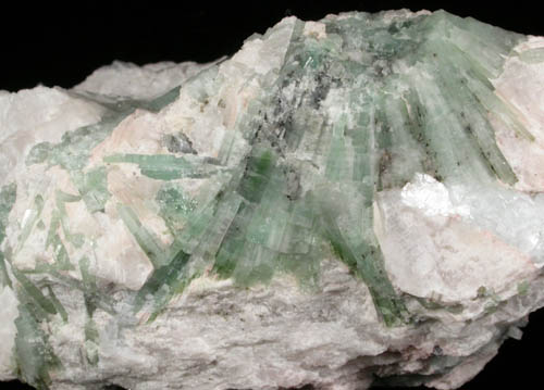 Elbaite Tourmaline in Petalite from Mount Marie Quarry, 7.5 km southeast of Paris Hill, Oxford County, Maine