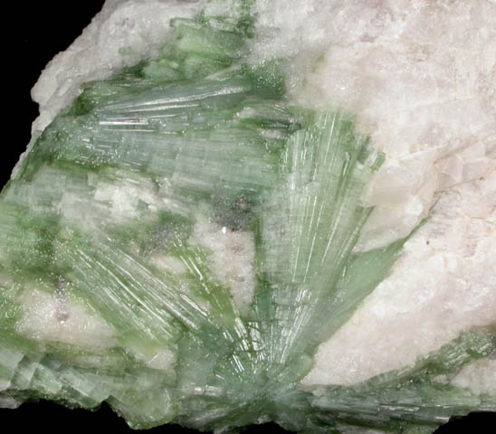 Elbaite Tourmaline in Petalite from Mount Marie Quarry, 7.5 km southeast of Paris Hill, Oxford County, Maine