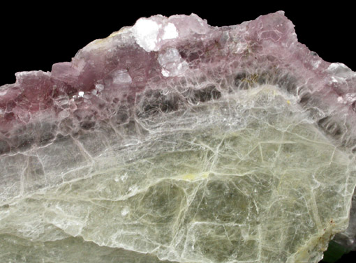 Lepidolite rim on Muscovite Mica from Mount Marie Quarry, 7.5 km southeast of Paris Hill, Oxford County, Maine