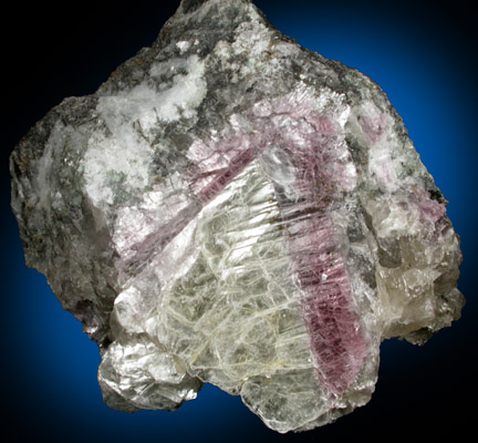 Lepidolite rim on Muscovite Mica from Mount Marie Quarry, 7.5 km southeast of Paris Hill, Oxford County, Maine