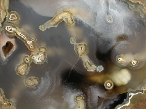 Quartz var. Agate Thunderegg from Ochoco Mountains, Oregon