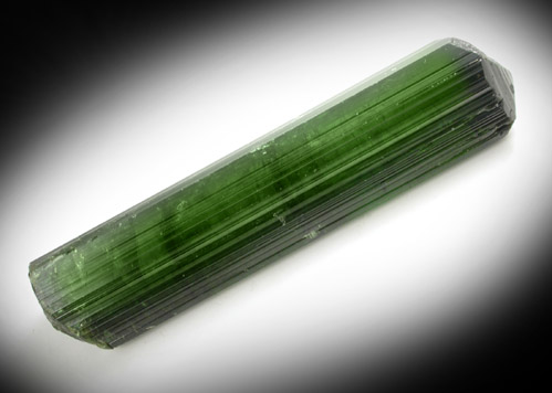 Elbaite Tourmaline from Pederneira Mine, Sao Jose da Safira, Minas Gerais, Brazil