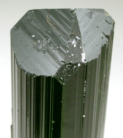 Elbaite Tourmaline from Pederneira Mine, Sao Jose da Safira, Minas Gerais, Brazil