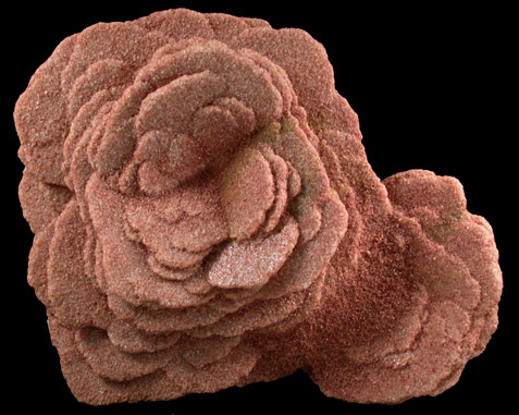 Barite var. Desert Rose from Garber Sandstone Formation, near Norman, Cleveland County, Oklahoma