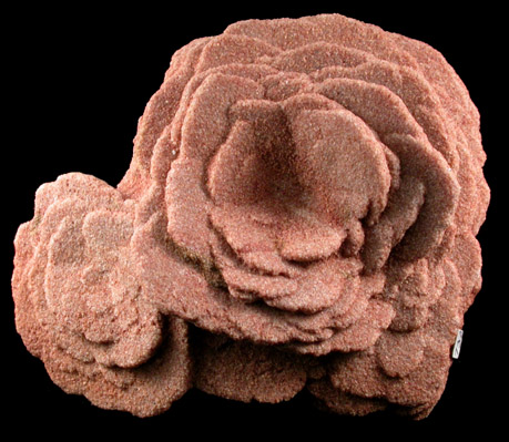 Barite var. Desert Rose from Garber Sandstone Formation, near Norman, Cleveland County, Oklahoma