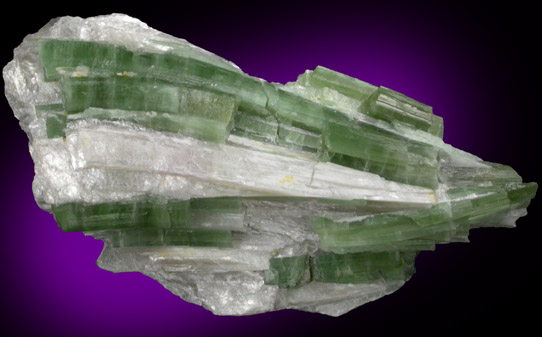 Elbaite Tourmaline in Muscovite from Mount Marie Quarry, 7.5 km southeast of Paris Hill, Oxford County, Maine