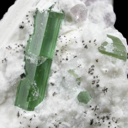 Elbaite Tourmaline in Albite from Mount Marie Quarry, 7.5 km southeast of Paris Hill, Oxford County, Maine