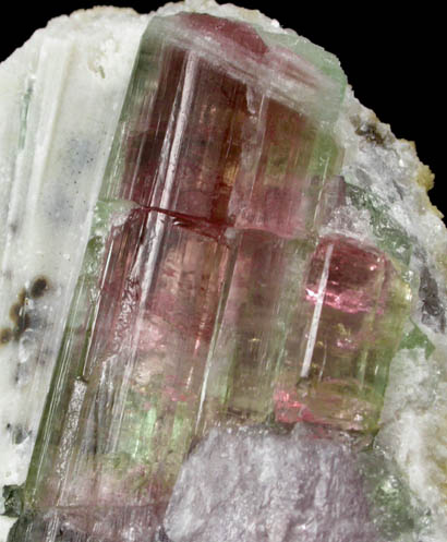 Elbaite Tourmaline and Lepidolite in Quartz from May Day Pocket, Durgin #1 Prospect, Mount Marie, 7.5 km southeast of Paris Hill, Oxford County, Maine