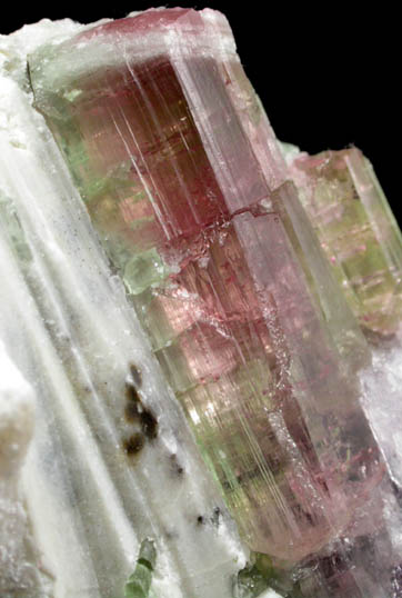 Elbaite Tourmaline and Lepidolite in Quartz from May Day Pocket, Durgin #1 Prospect, Mount Marie, 7.5 km southeast of Paris Hill, Oxford County, Maine