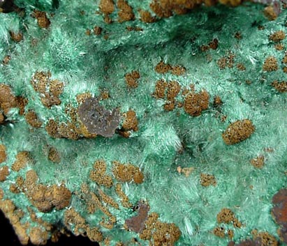 Malachite from Bisbee, Warren District, Cochise County, Arizona