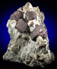 Almandine Garnet with Staurolite from Green's Farm, 750 m. ESE of Roxbury Falls, Roxbury, New Haven County, Connecticut