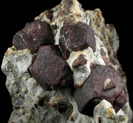 Almandine Garnet with Staurolite from Green's Farm, 750 m. ESE of Roxbury Falls, Roxbury, New Haven County, Connecticut