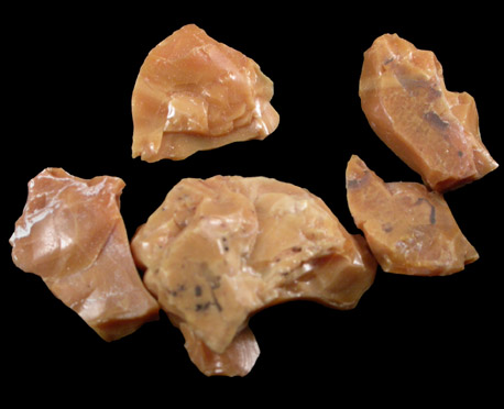 Retinite (fossilized tree resin similar to Amber) from Raritan Formation, Roebling (formerly Kinkora), 5.6 km SW of Trenton, Burlington County, New Jersey