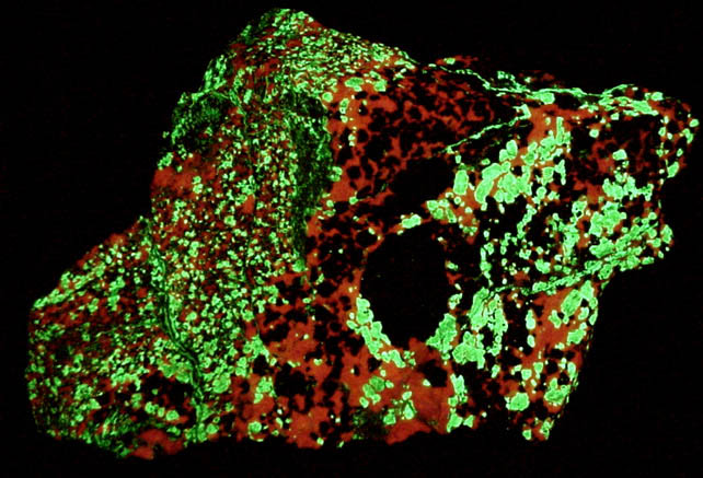 Willemite, Calcite, Franklinite from Sterling Mine, Ogdensburg, Sterling Hill, Sussex County, New Jersey (Type Locality for Franklinite)