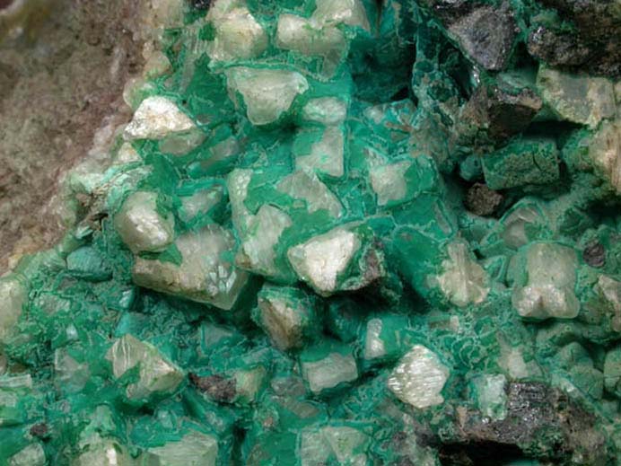 Chrysocolla on Calcite with Chalcocite from Chimney Rock Quarry, Bound Brook, Somerset County, New Jersey