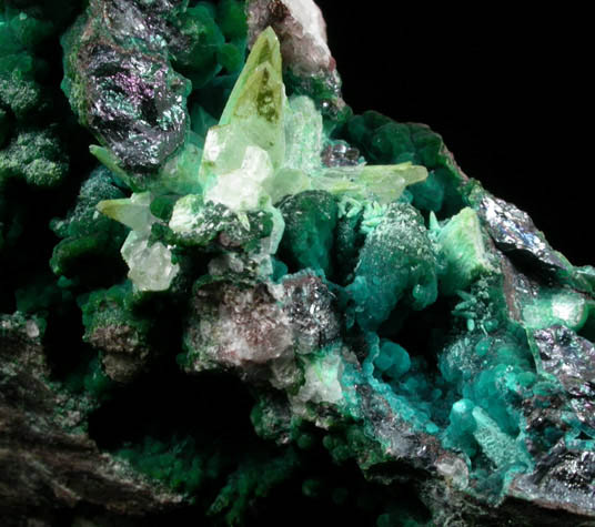 Chalcocite vein with pockets of Chrysocolla on Calcite from Chimney Rock Quarry, Bound Brook, Somerset County, New Jersey