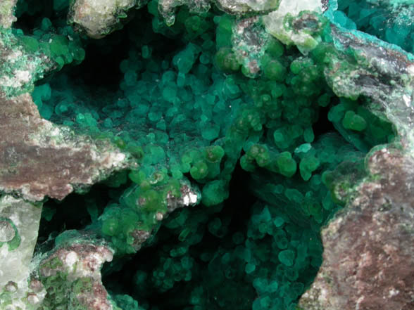 Chalcocite vein with pockets of Chrysocolla on Calcite from Chimney Rock Quarry, Bound Brook, Somerset County, New Jersey