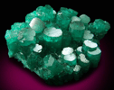 Chatham Emerald (synthetic Beryl var. Emerald) from California