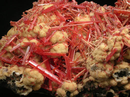 Crocoite with Gibbsite from Dundas, Tasmania, Australia