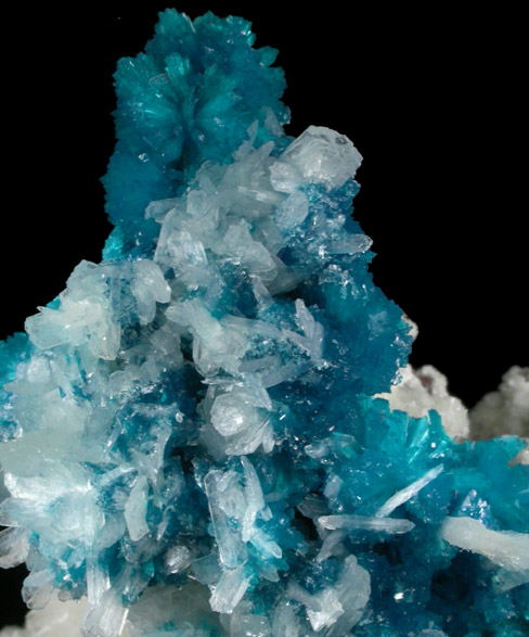 Cavansite on Stilbite-Ca from Wagholi Quarry, Maharashtra, India