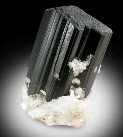 Schorl Tourmaline and Albite from Gilgit District, Gilgit-Baltistan, Pakistan