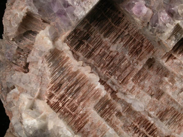 Quartz pseudomorphs after Anhydrite from Prospect Park Quarry, Prospect Park, Passaic County, New Jersey