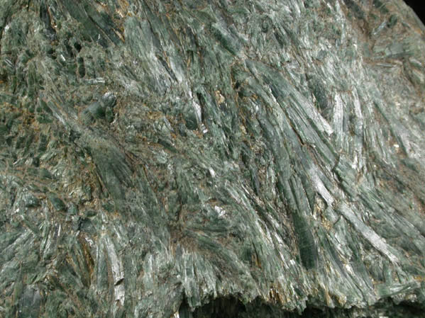 Actinolite from Reed Station, Tiburon Peninsula, Marin County, California