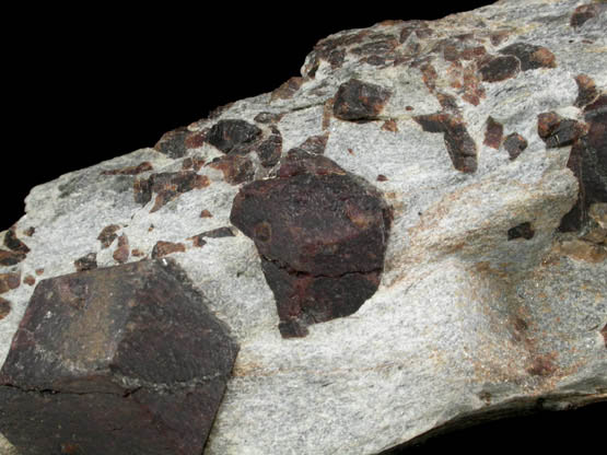 Almandine Garnet with Staurolite from Green's Farm, 750 m. ESE of Roxbury Falls, Roxbury, New Haven County, Connecticut