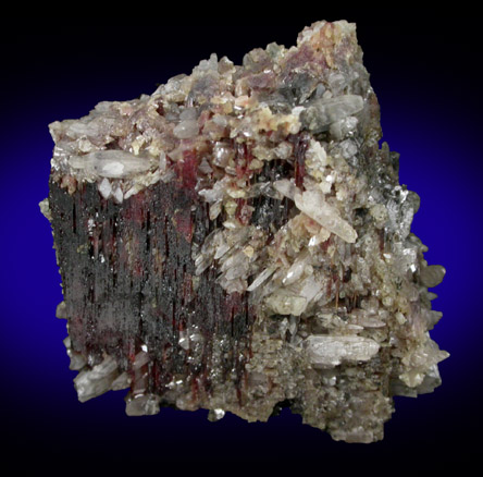 Stolzite on Hübnerite from Black Pine Mine, Flint Creek Valley, Granite County, Montana