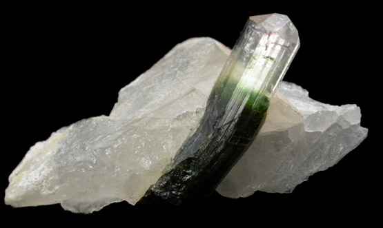 Elbaite Tourmaline in Quartz from Skardu District, Baltistan, Gilgit-Baltistan, Pakistan