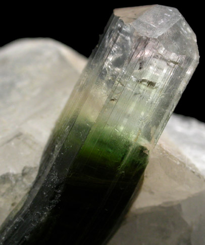 Elbaite Tourmaline in Quartz from Skardu District, Baltistan, Gilgit-Baltistan, Pakistan