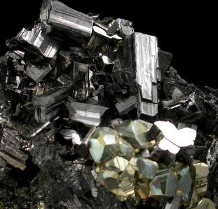 Enargite and Pyrite from Butte Mining District, Summit Valley, Silver Bow County, Montana