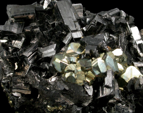 Enargite and Pyrite from Butte Mining District, Summit Valley, Silver Bow County, Montana