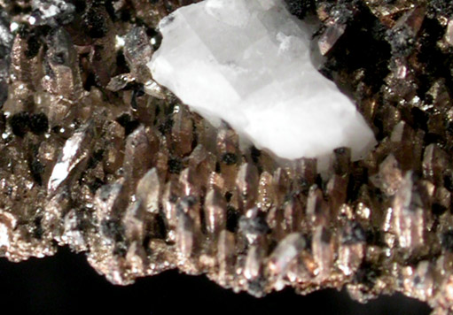 Silver on Calcite from Andres del Rio District, Batopilas, Chihuahua, Mexico