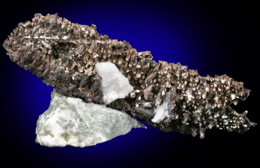 Silver on Calcite from Andres del Rio District, Batopilas, Chihuahua, Mexico