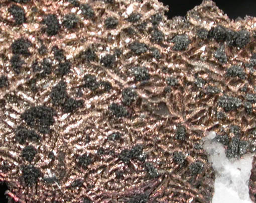 Silver on Calcite from Andres del Rio District, Batopilas, Chihuahua, Mexico
