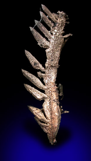 Silver from Andres del Rio District, Batopilas, Chihuahua, Mexico