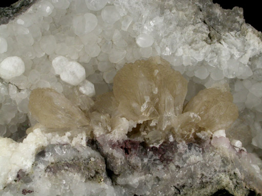 Analcime, Stilbite-Ca, Calcite from Upper New Street Quarry, Paterson, Passaic County, New Jersey