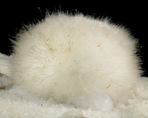 Okenite on Quartz from Mumbai (Bombay) District, Maharashtra, India