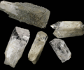 Danburite (5 crystals) from Charcas, San Luis Potosi, Mexico