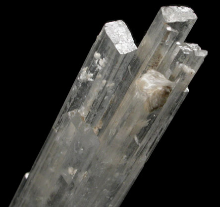 Inderite from Boron, Kramer District, Kern County, California